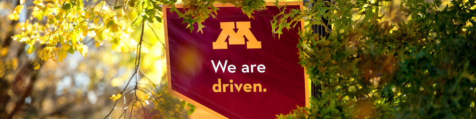 Maroon and gold banner that says We are driven