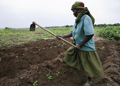 A woman who is contract farming in Tanzania plows the field by hand.