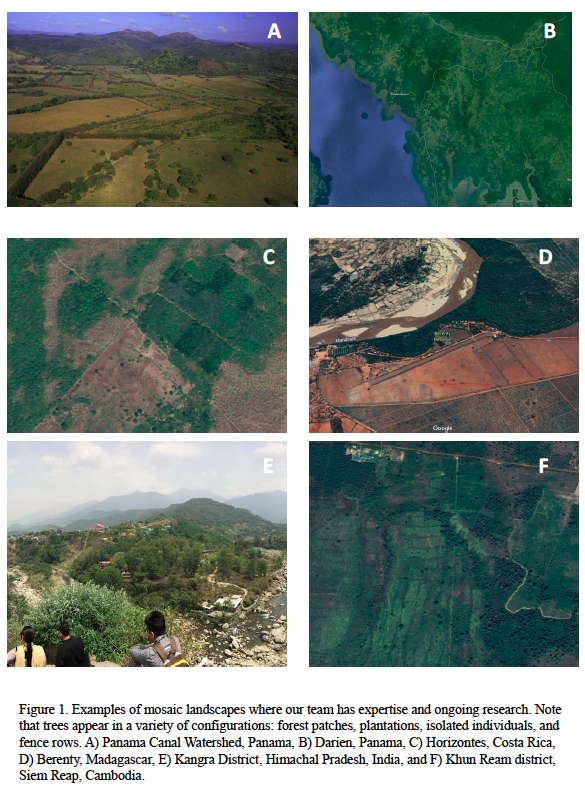 Mosaic landscapes where the team has expertise and ongoing research. Trees appear in a variety of configurations: forest patches, plantations, isolated individuals, and fence rows.