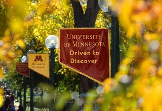 Image of a maroon sign board with yellow letters that say, 'University of Minnesota Driven to Discover' against a blurry backdrop of more signboards and yellow leaves on trees.
