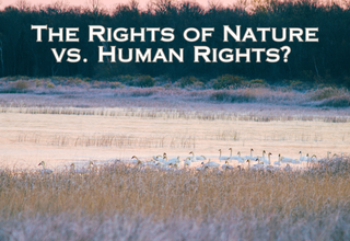 The Rights of Nature vs. Human Rights? 
