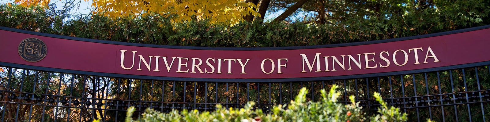 University of Minnesota sign on black metal fence