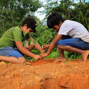 Two young boys plant a tree together